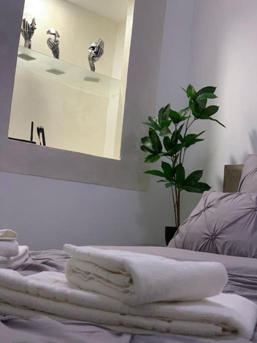 Studio Central Mm Apartments Brašov Exteriér fotografie